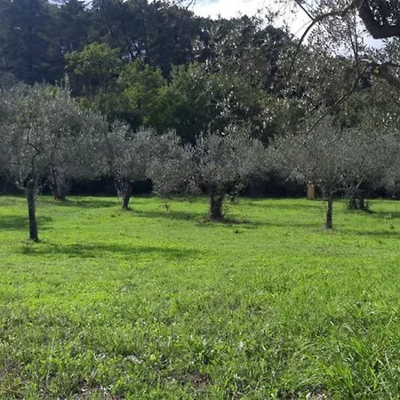 Campo de lujo Agricampeggio Borgo Agna *