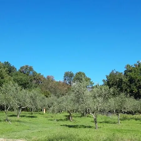 Agricampeggio Borgo Agna *