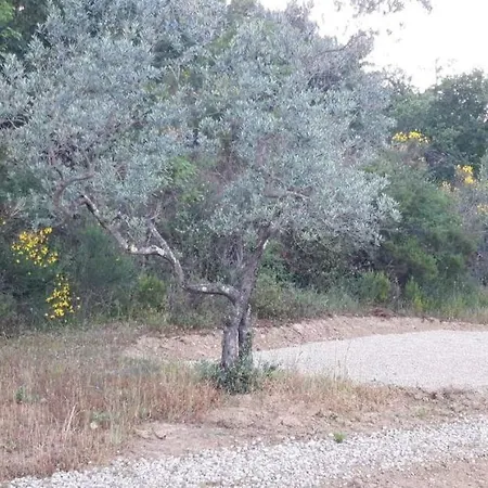 Agricampeggio Borgo Agna Campismo de Luxo *